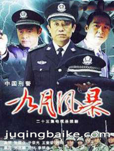 中国刑警之九月风暴剧情介绍(1-23全集)