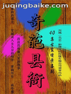 奇葩县衙剧情介绍(1-40全集)