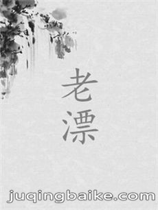 老漂剧情介绍(1-34全集)