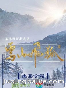 新雪山飞狐剧情介绍(1-30全集)