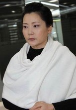 新女婿时代演员表