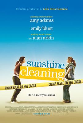 阳光清洗 Sunshine Cleaning剧情介绍