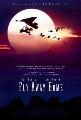 伴你高飞 Fly Away Home剧情介绍