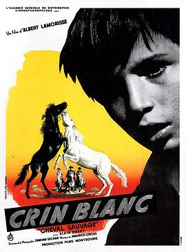 白鬃野马 Crin blanc: Le cheval sauvage剧情介绍