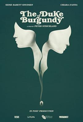 勃艮第公爵 The Duke of Burgundy剧情介绍
