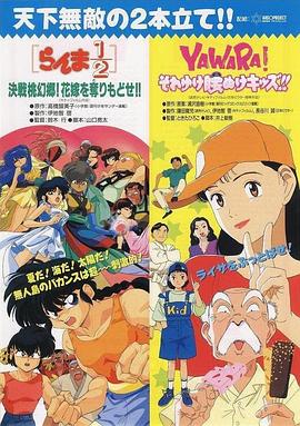 乱马1 2：决战桃源乡！夺回新娘子！！ らんま1 2 決戦桃幻郷！花嫁を奪りもどせ！！剧情介绍