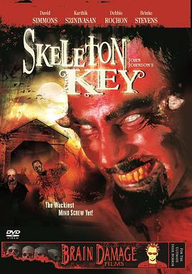 骷髅钥匙 Skeleton Key剧情介绍