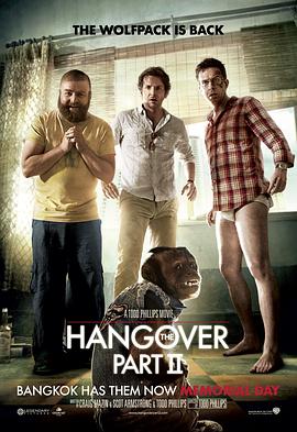 宿醉2 The Hangover Part II剧情介绍