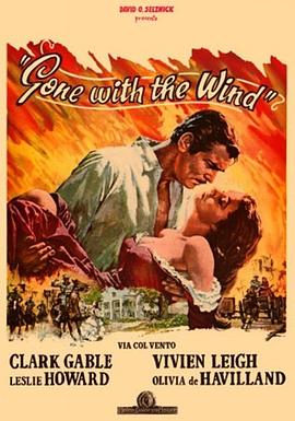 乱世佳人 Gone with the Wind剧情介绍
