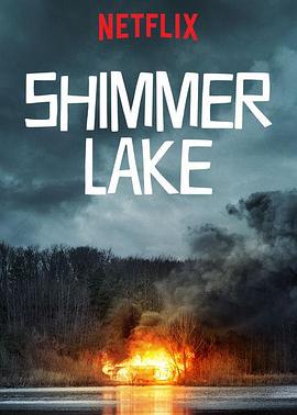 微光湖 Shimmer Lake剧情介绍