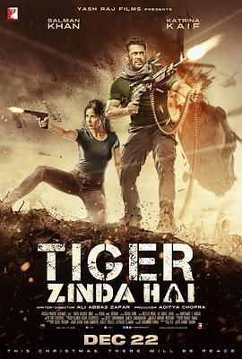 猛虎还活着 Tiger Zinda Hai剧情介绍