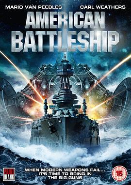 美国战舰 American Battleship剧情介绍