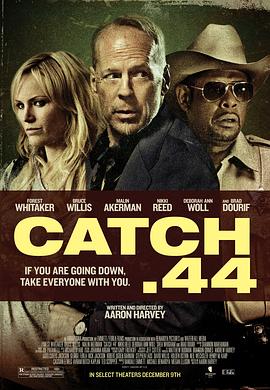 第44条军规 Catch .44剧情介绍