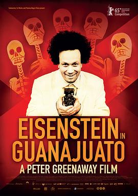 爱森斯坦在瓜纳华托 Eisenstein in Guanajuato剧情介绍