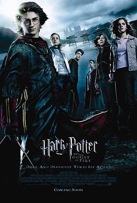 哈利·波特与火焰杯 Harry Potter and the Goblet of Fire剧情介绍